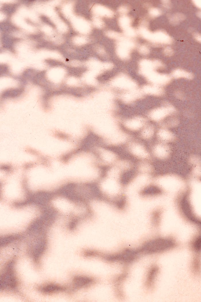 Soft shadows of leaves on a pastel pink surface, creating a natural artistic design.